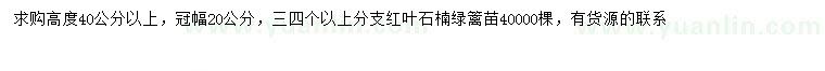 求購高度40公分以上紅葉石楠綠籬苗