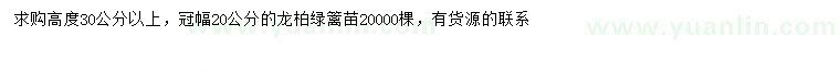 求購(gòu)高度30公分以上龍柏綠籬苗