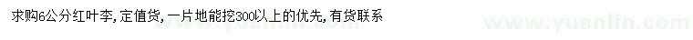 求購6公分紅葉李
