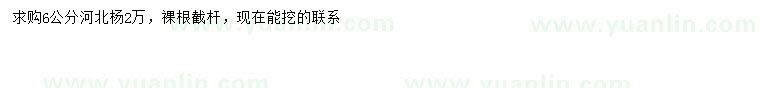 求購6公分河北楊
