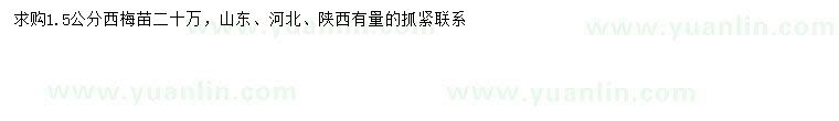 求購(gòu)1.5公分西梅