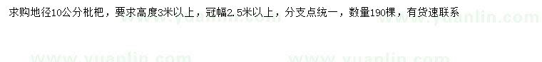 求購地徑10公分枇杷