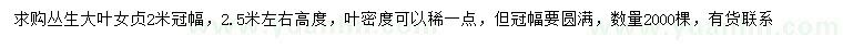 求購冠幅2米叢生大葉女貞