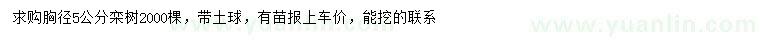 求購(gòu)胸徑5公分欒樹(shù)
