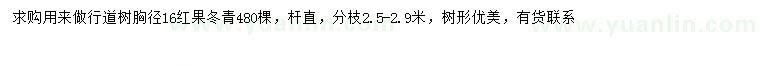 求購胸徑16公分紅果冬青