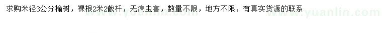 求購米徑3公分榆樹