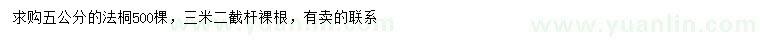 求購5公分法桐