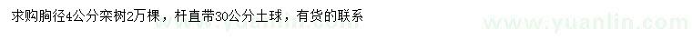 求購4公分欒樹