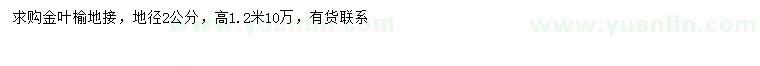 求購地徑2公分金葉榆