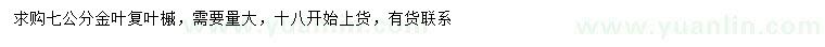 求購(gòu)7公分金葉復(fù)葉槭