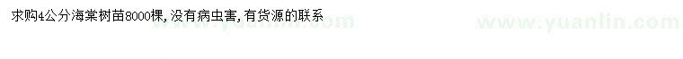 求購4公分海棠
