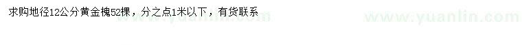 求購地徑12公分黃金槐