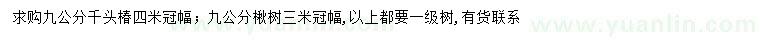 求購九公分千頭椿、楸樹