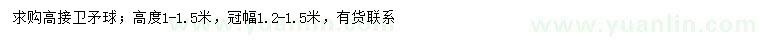 求購冠幅1.2-1.5米高接衛(wèi)矛球