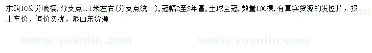 求購10公分晚櫻
