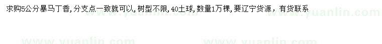 求購5公分暴馬丁香