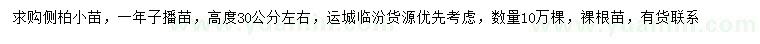 求購(gòu)側(cè)柏小苗