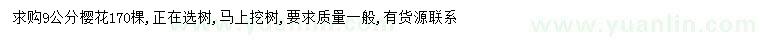 求購9公分櫻花