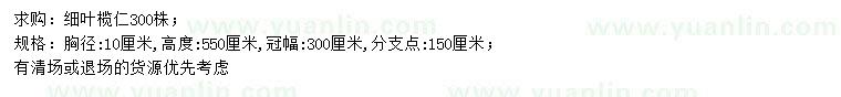求購(gòu)胸徑10公分細(xì)葉欖仁