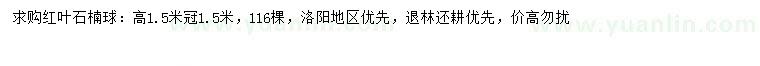 求購冠幅1.5米紅葉石楠球