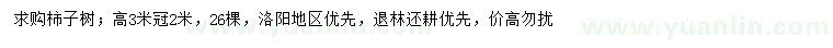 求購高3米柿子樹
