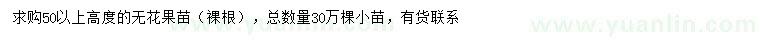 求購高50公分以上無花果小苗