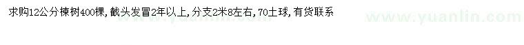 求購12公分楝樹