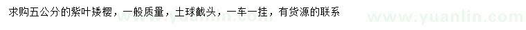 求購5公分紫葉矮櫻