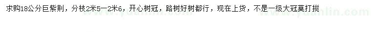 求購18公分巨紫荊