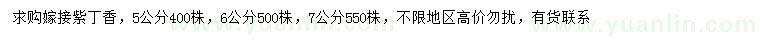 求購5、6、7公分紫丁香