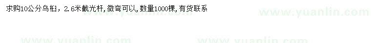 求購10公分烏桕