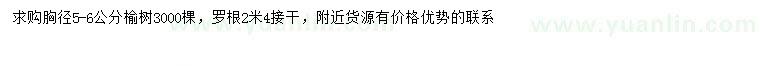 求購胸徑5-6公分榆樹