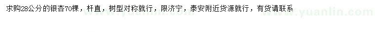 求購28公分銀杏