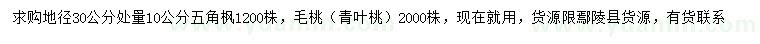 求購(gòu)30量10公分五角楓、毛桃