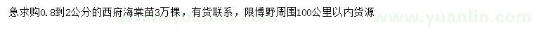 求購(gòu)0.8-2公分西府海棠