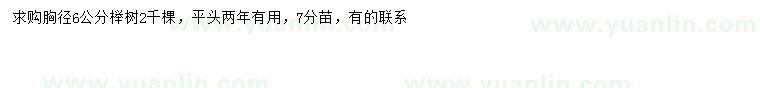 求購(gòu)胸徑6公分櫸樹