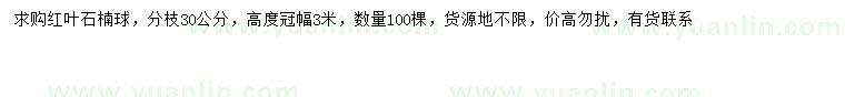 求購冠幅3米紅葉石楠球