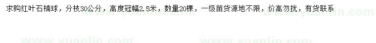 求購(gòu)冠幅2.5米紅葉石楠球