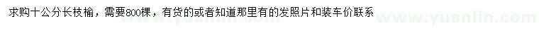求購(gòu)10公分長(zhǎng)枝榆