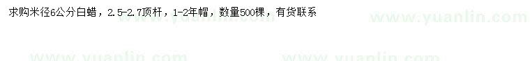 求購米徑6公分白蠟