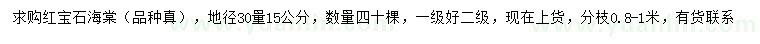 求購30量15公分紅寶石海棠