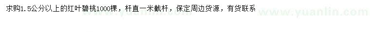 求購1.5公分以上紅葉碧桃