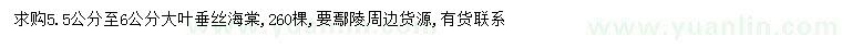 求購5.5-6公分大葉垂絲海棠