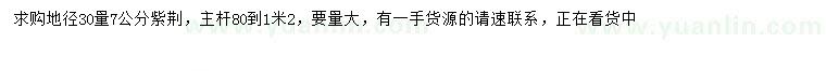 求購30量7公分紫荊
