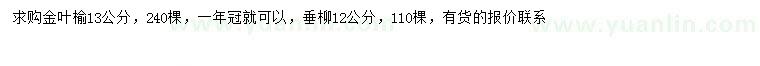 求購13公分金葉榆、12公分垂柳