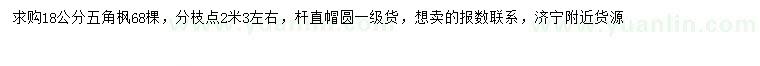 求購(gòu)18公分五角楓