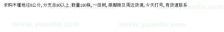 求購(gòu)地徑8公分木槿