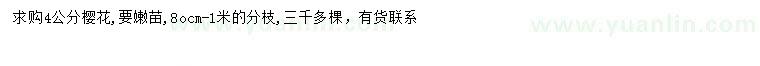 求購4公分櫻花