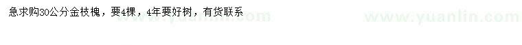 求購(gòu)30公分金枝槐