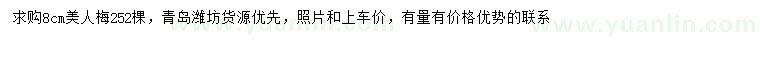 求購8公分美人梅